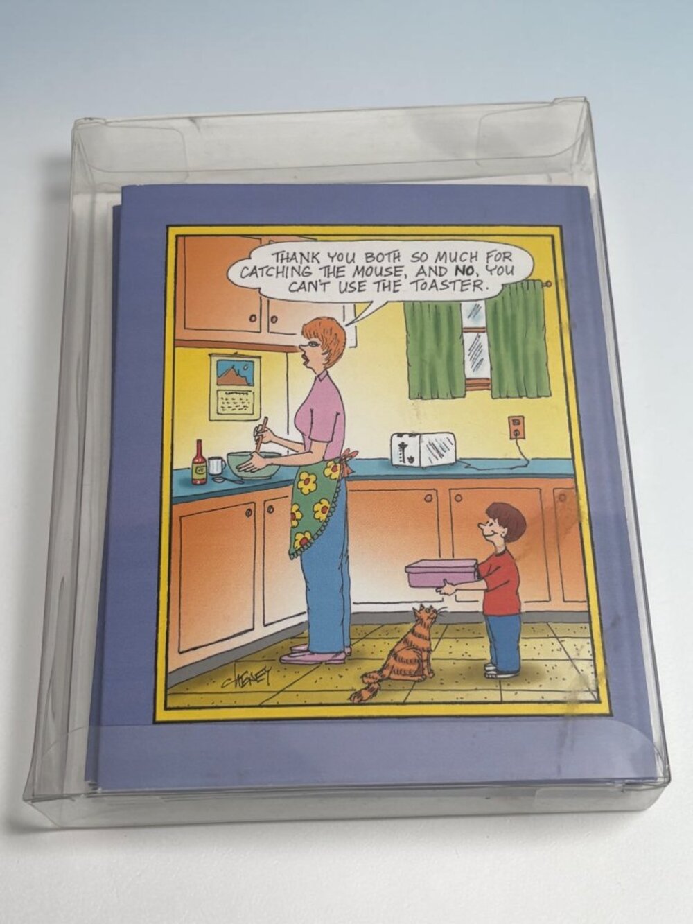 Blank Note Cards - 10 Assorted Tom Chenery Toons Humorous Designs With Envelopes